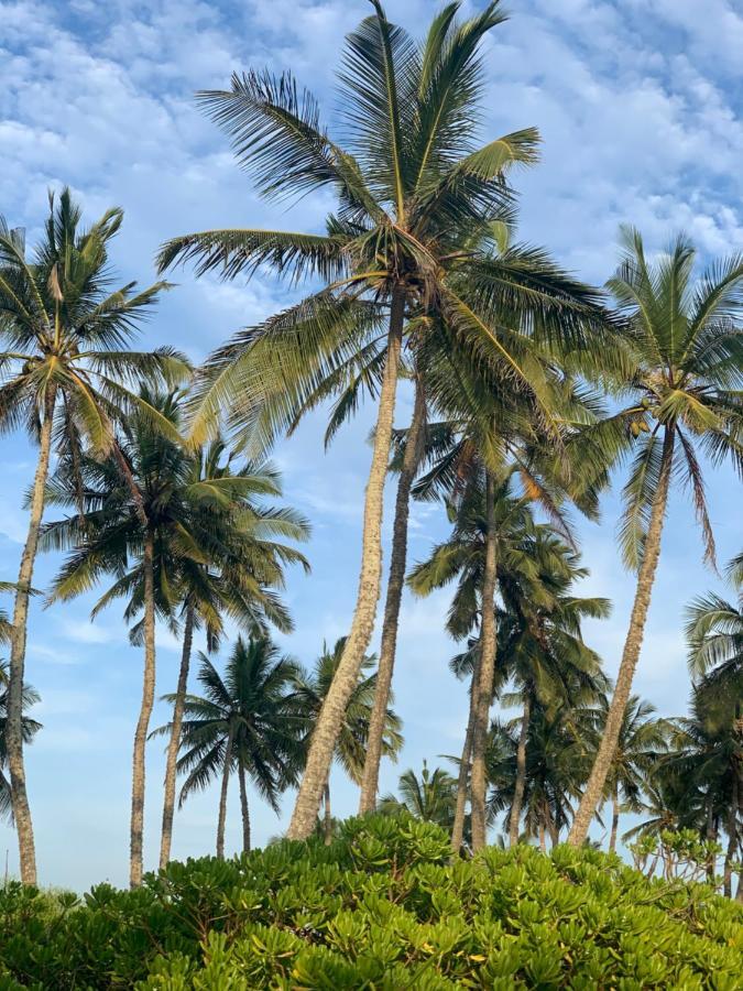 โรงแรมเซรีน บีช แทนกาลเล ภายนอก รูปภาพ